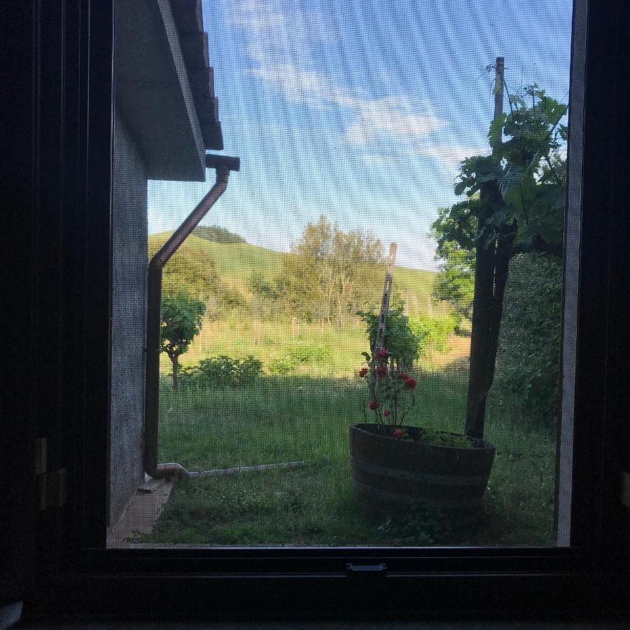 Il Canto Del Gallo Apartment Murlo Bagian luar foto