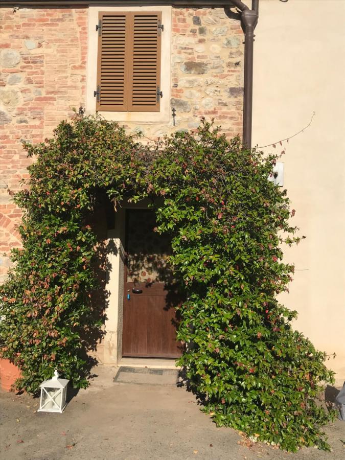 Il Canto Del Gallo Apartment Murlo Bagian luar foto